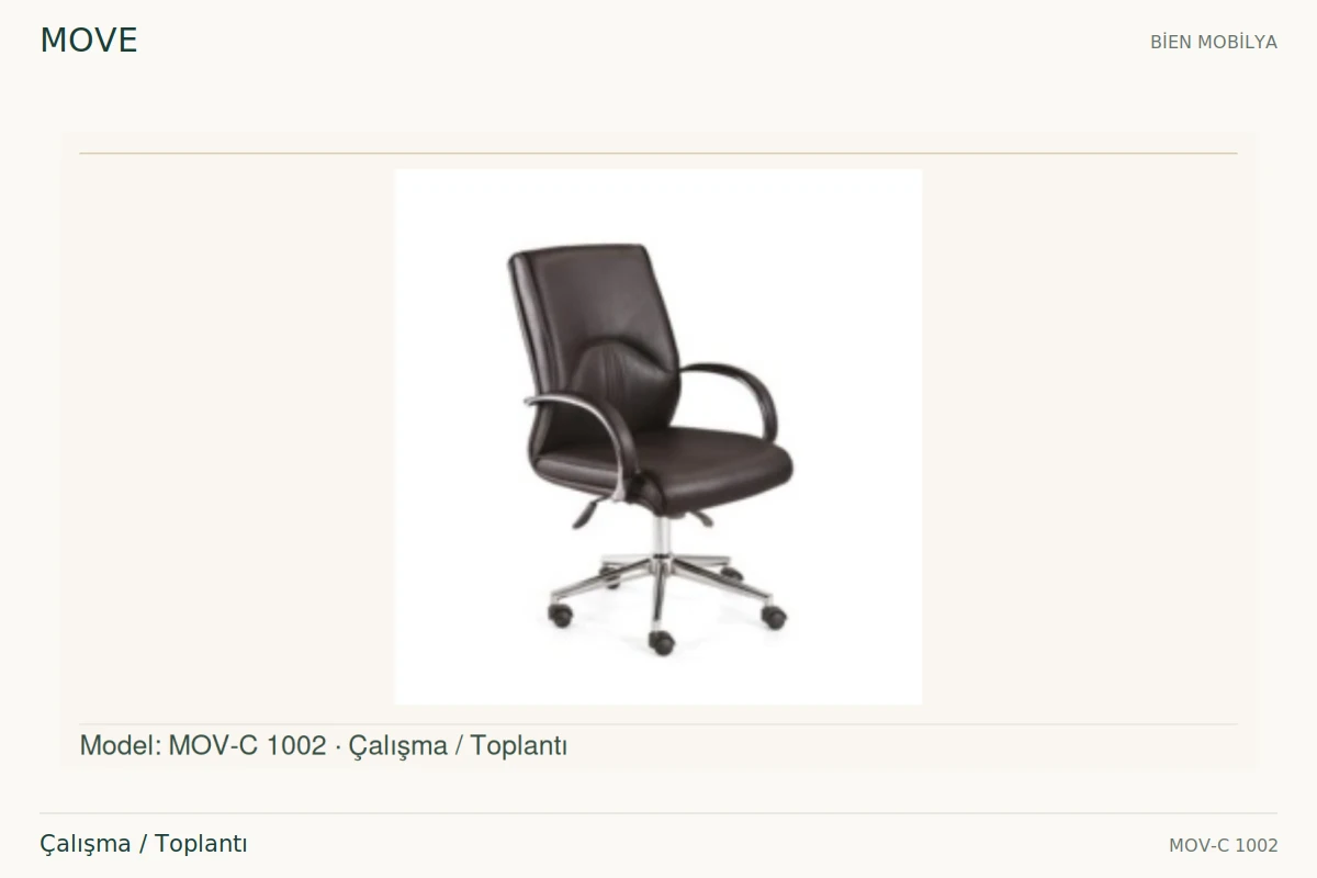 Bien MOVE Çalışma / Toplantı