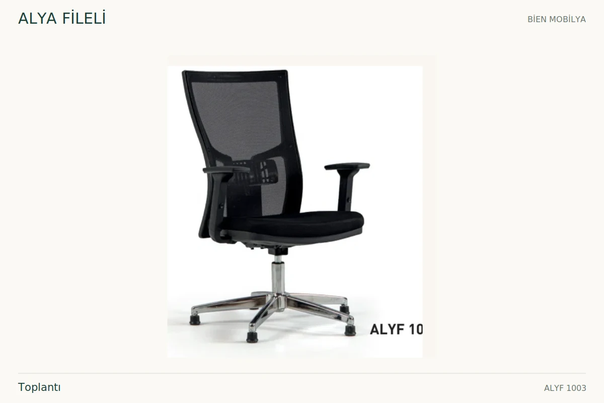 Bien ALYA FİLELİ Toplantı