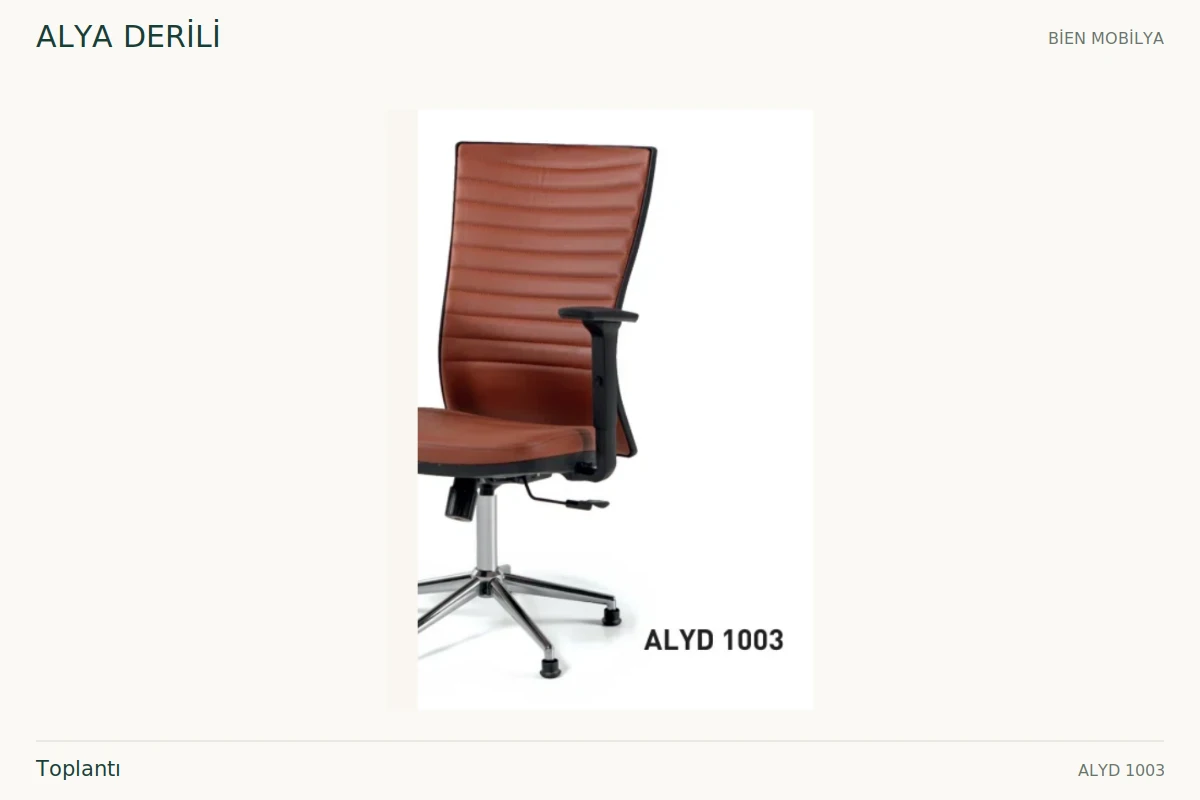 Bien ALYA DERİLİ Toplantı