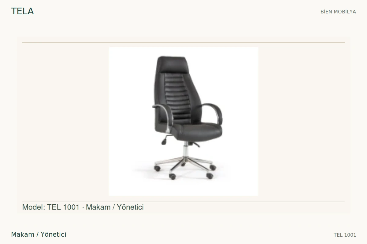 Bien TELA Makam / Yönetici