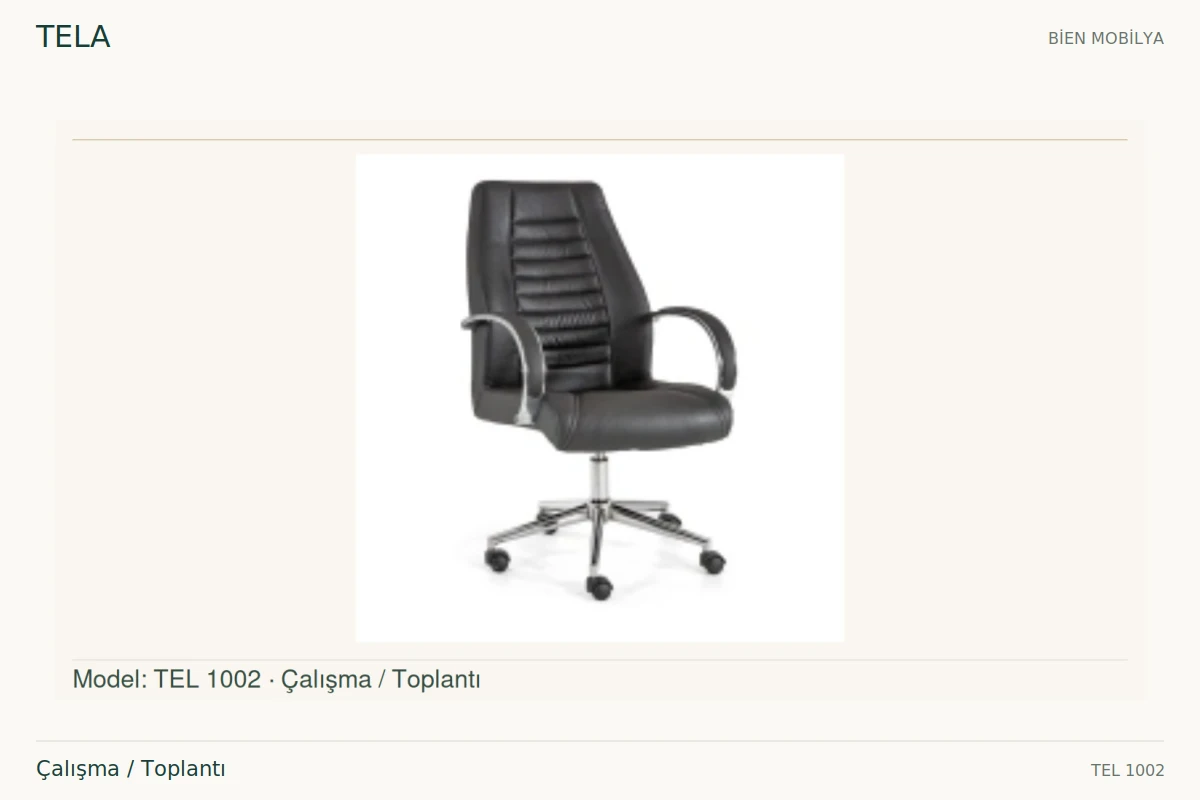 Bien TELA Çalışma / Toplantı
