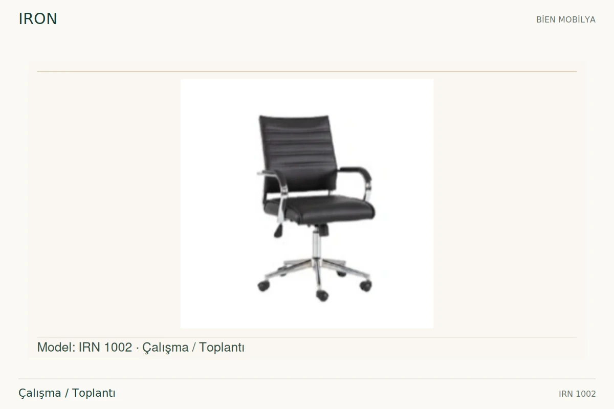Bien IRON Çalışma / Toplantı