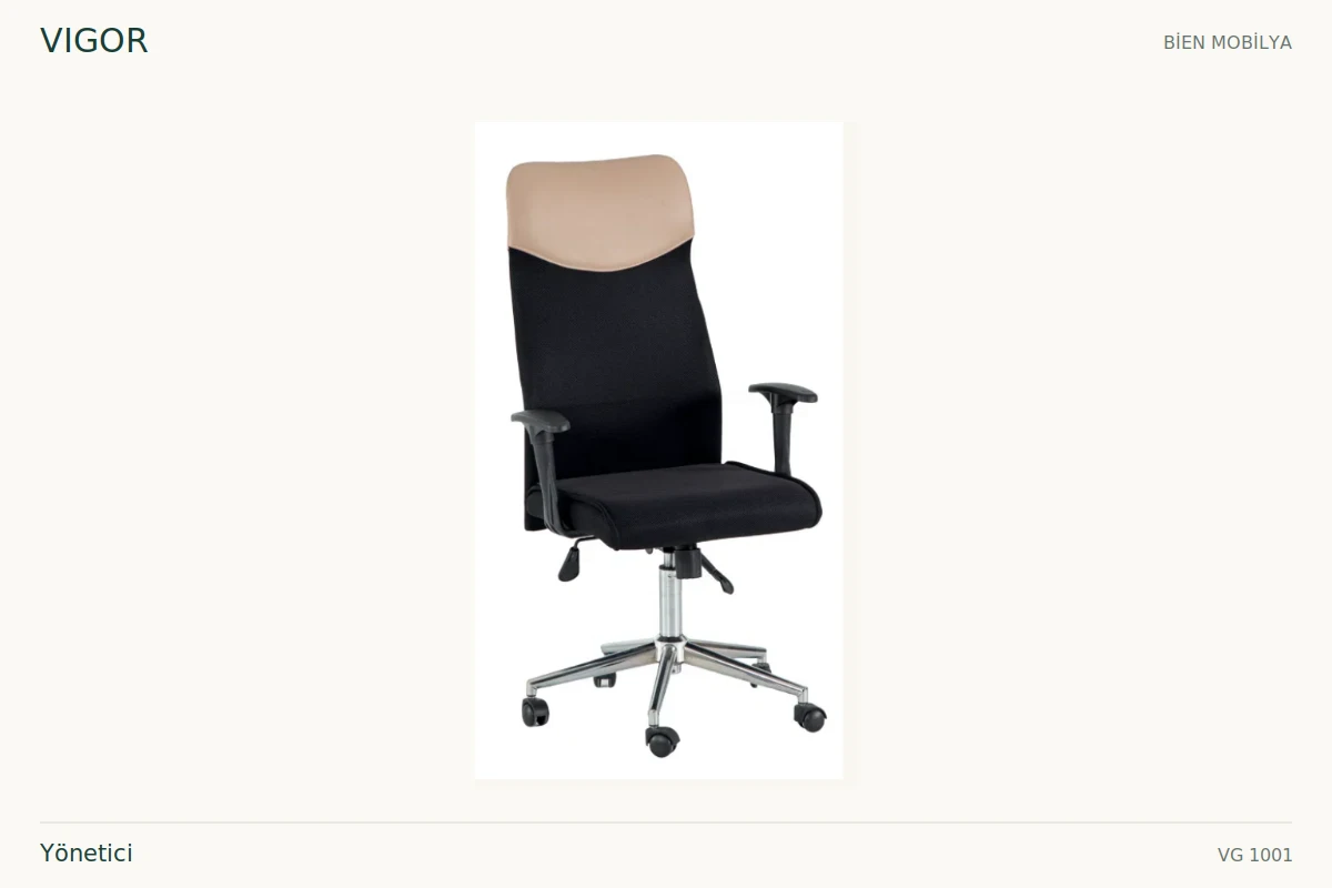 Bien VIGOR Yönetici