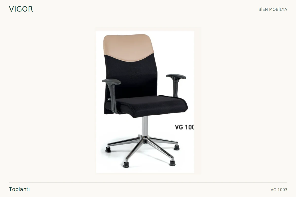 Bien VIGOR Toplantı