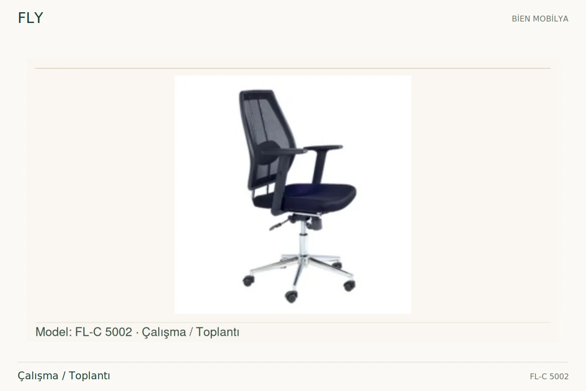 Bien FLY Çalışma / Toplantı