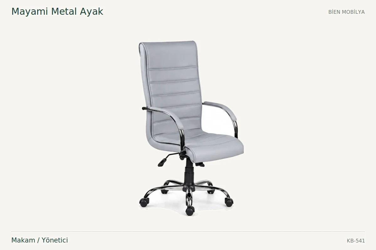 Bien Mayami Metal Ayak تنفيذي / مدير