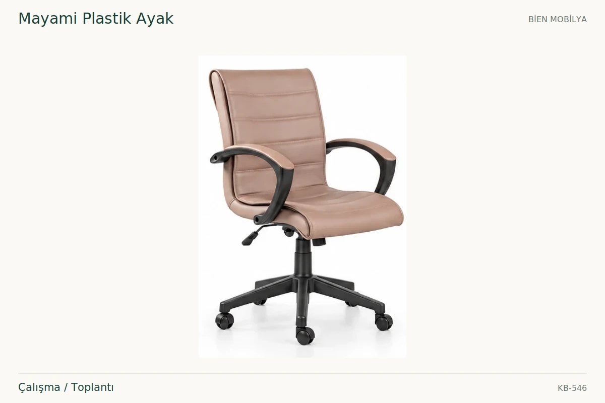 Bien Mayami Plastik Ayak Çalışma / Toplantı