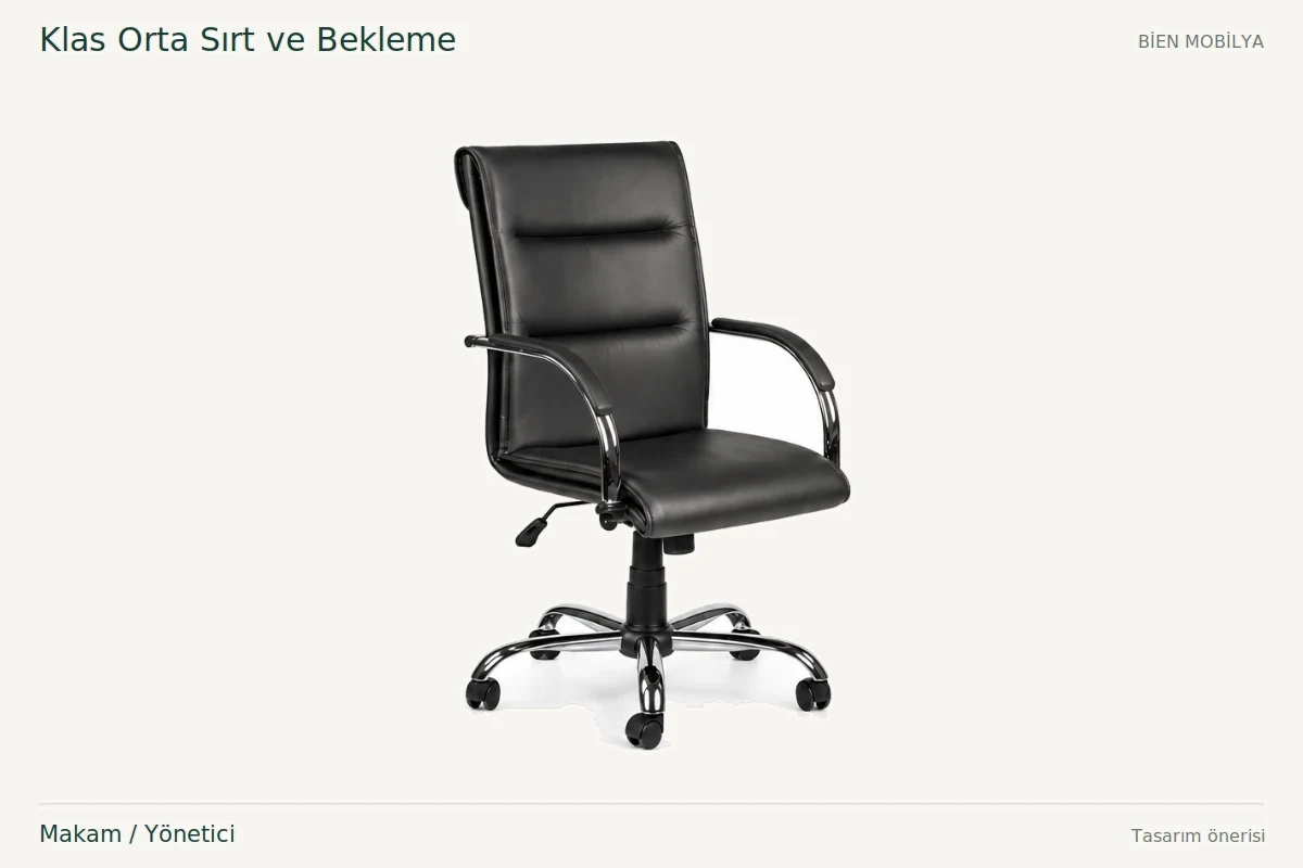 Bien Klas Orta Sırt ve Bekleme تنفيذي / مدير
