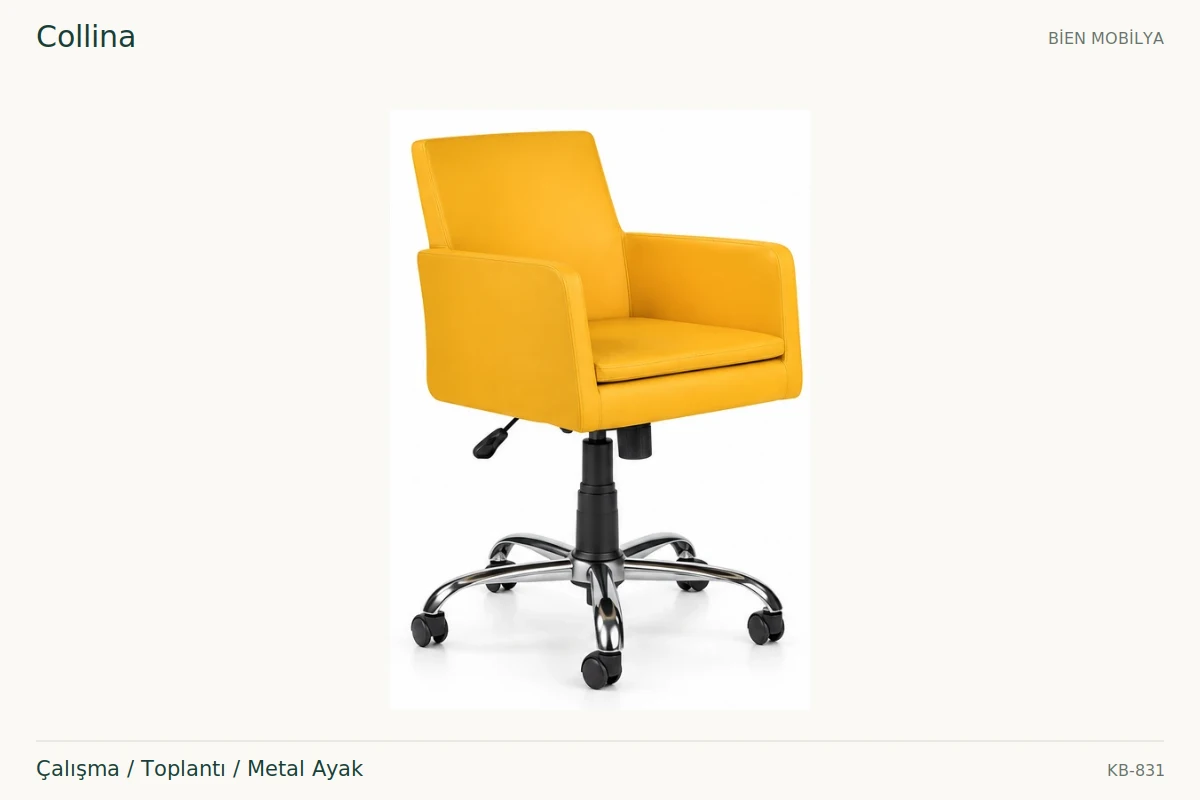 Bien Collina Çalışma / Toplantı / Metal Ayak