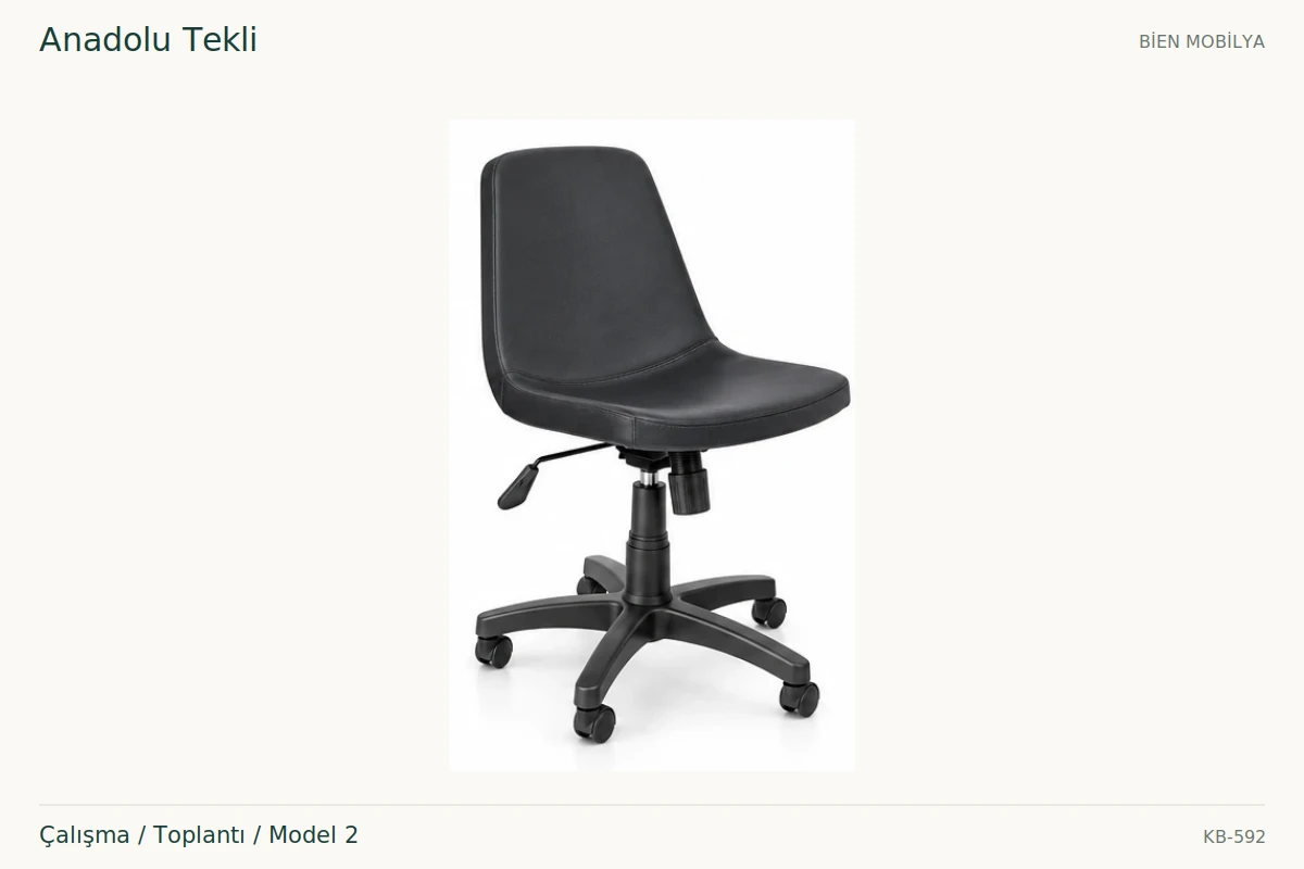 Bien Anadolu Tekli Çalışma / Toplantı / Model 2