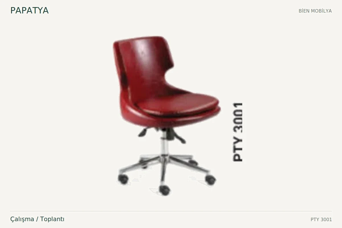 Bien PAPATYA مكتب / قاعة اجتماعات