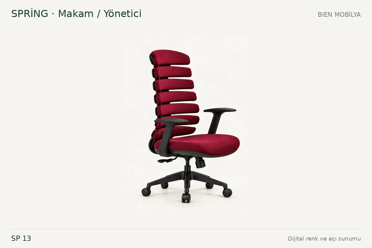 Bien SPRİNG Θέση / Διευθυντής