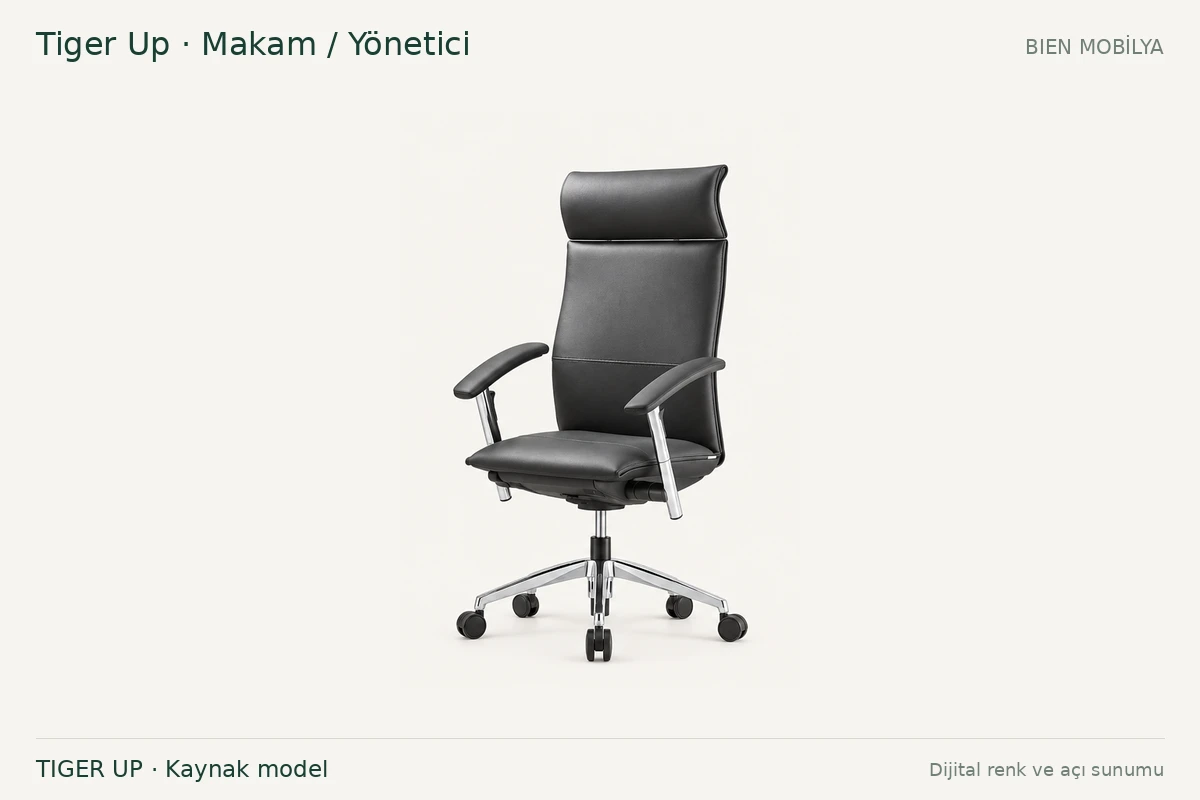Nowy Styl Tiger Up مدیر اجرایی / مدیر
