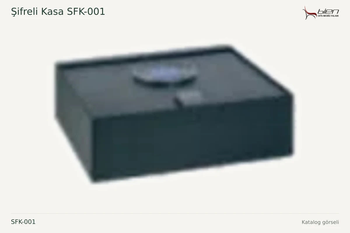 Bien Şifreli Kasa SFK-001