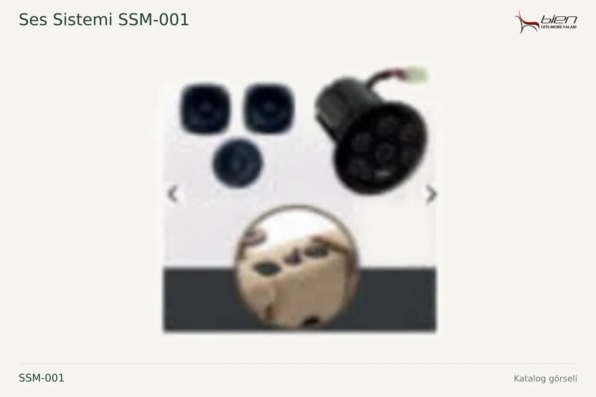 Bien Ses Sistemi SSM-001