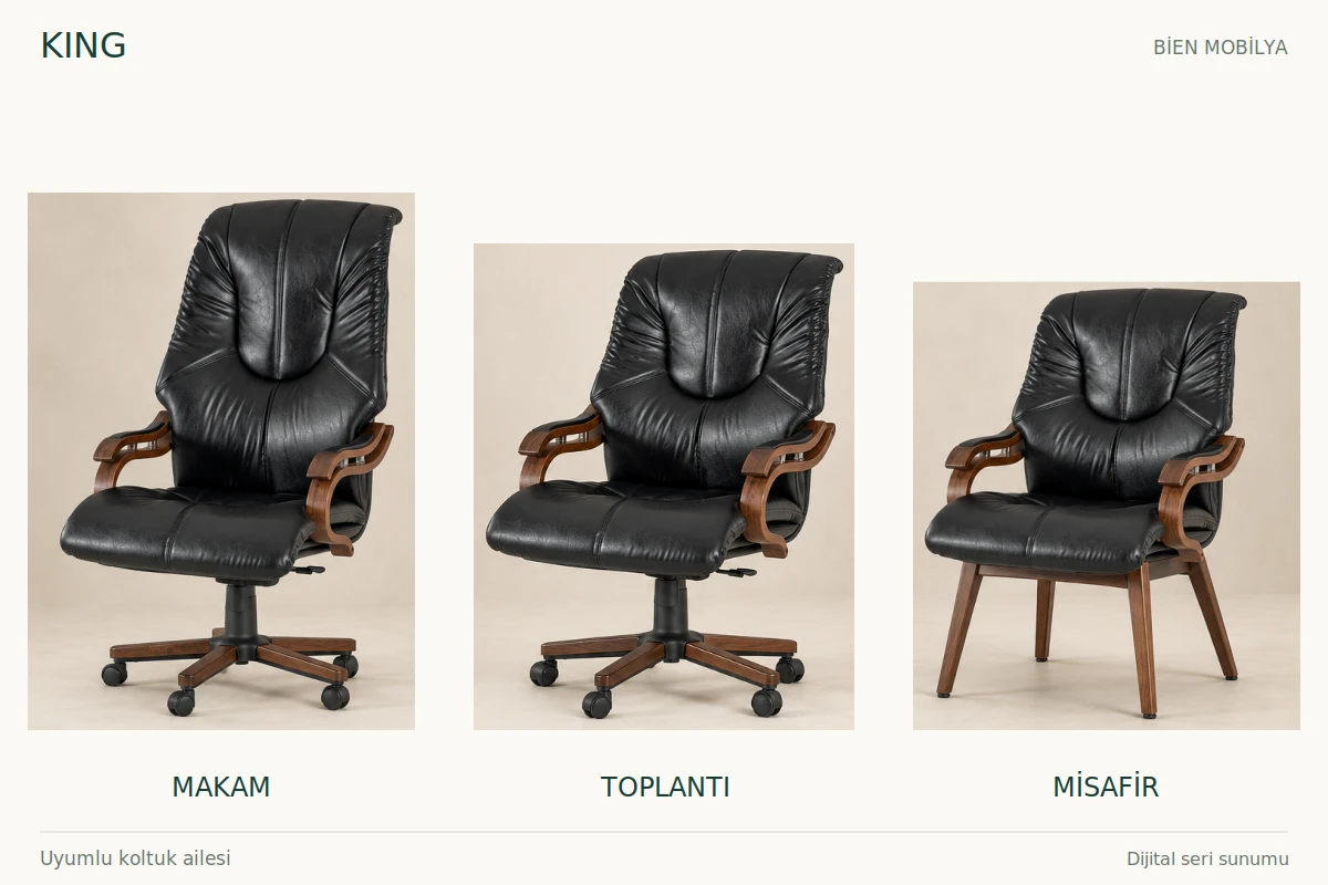 Ofis Koltukları ve Sandalyeler