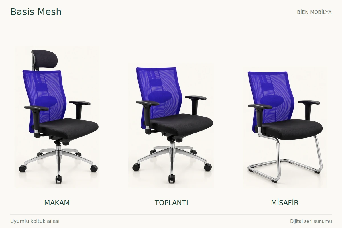 TCC Basis Mesh